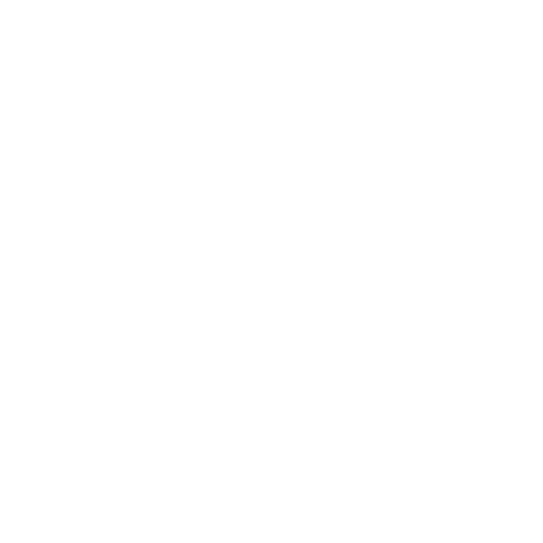 Lycee-massena