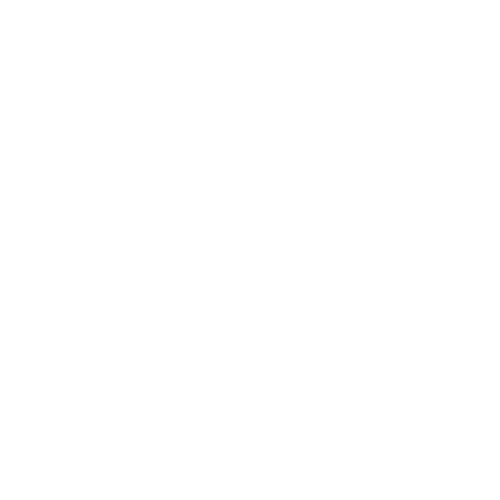 Mayer-Consulting